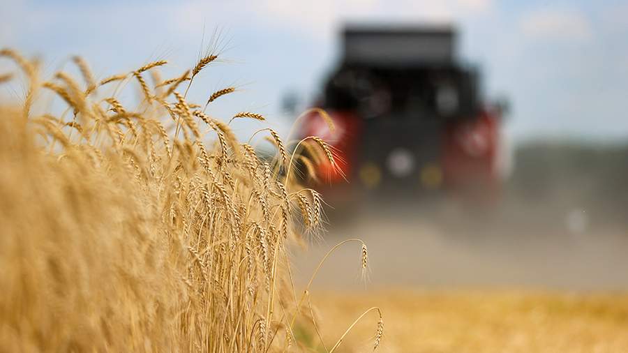 Эксперт оценил возможный переход на оплату в нацвалюте экспорта агропродукции РФ