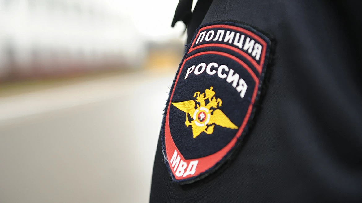 Подмосковные полицейские задержали 