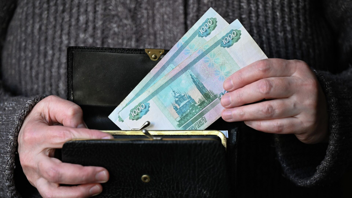 Зимние распродажи 2026 года: россияне активно покупали технику и продукты