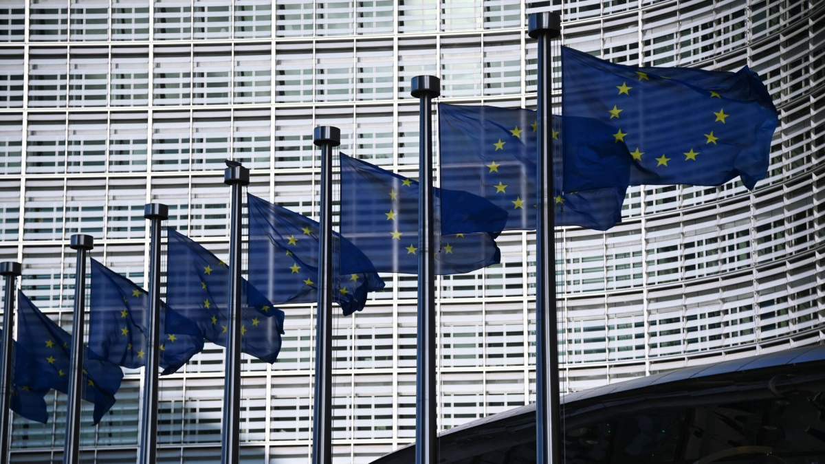Депутат Европарламента Рихо Террас раскритиковал идею создания спецпосланника ЕС по Украине